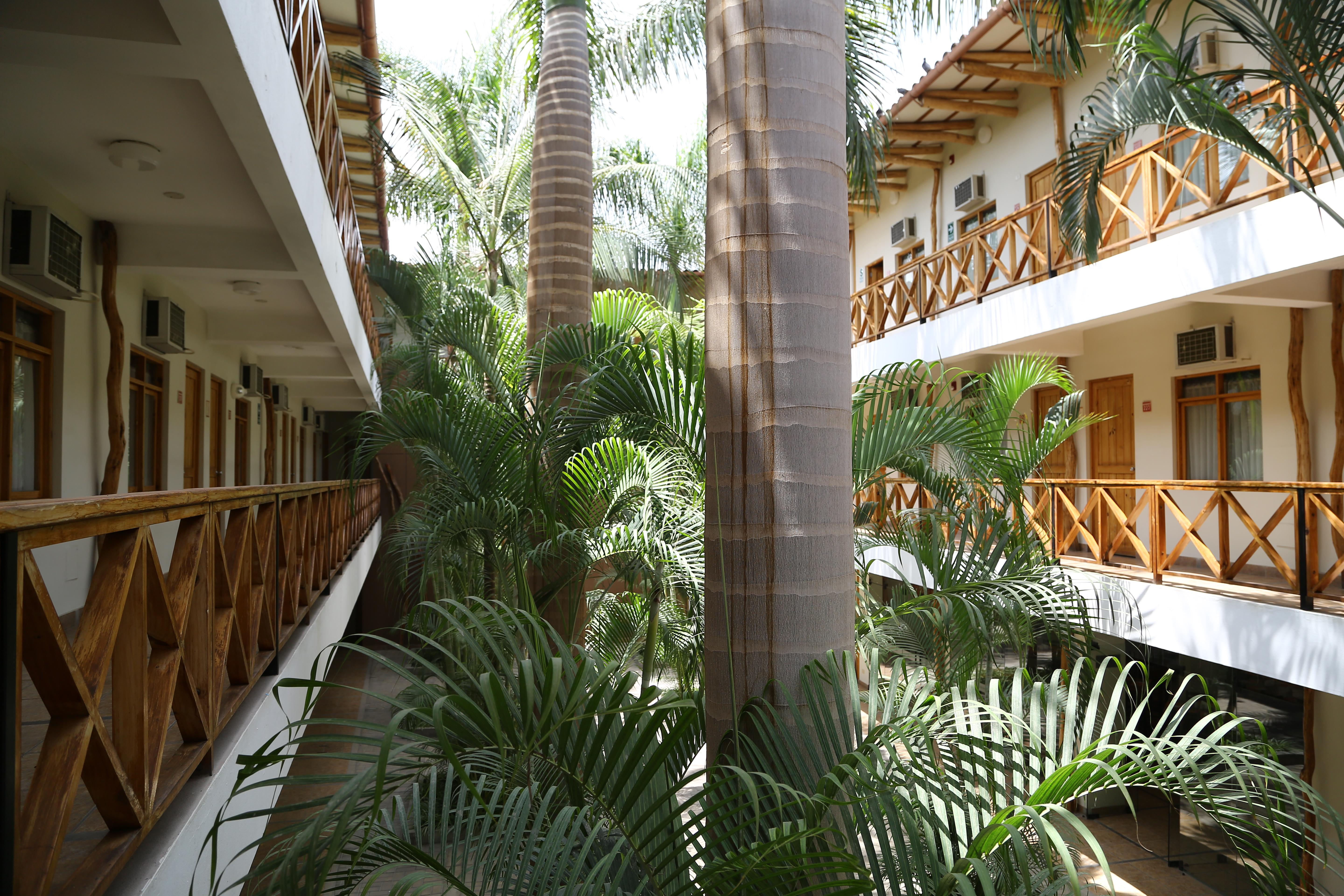 Casa Andina Standard Nasca Hotel Nazca Exterior foto
